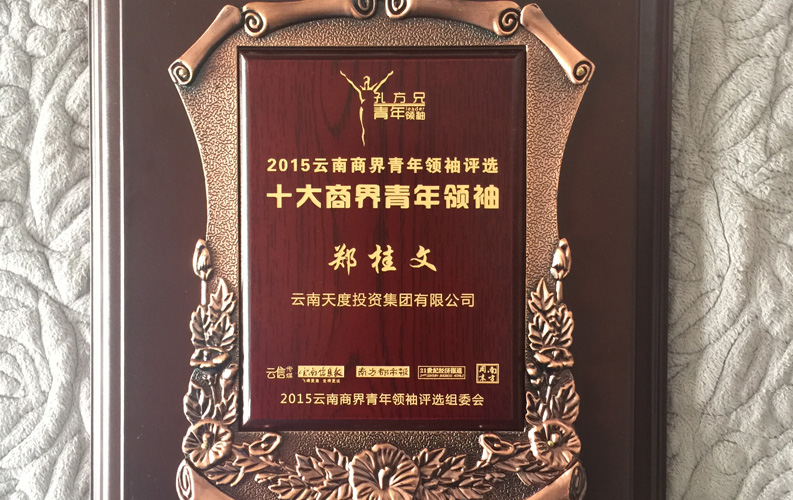在“互聯(lián)網(wǎng)大時代”的背景下，天度作為本土很大和很有名的互聯(lián)網(wǎng)服務(wù)企業(yè)，為近萬家傳統(tǒng)企業(yè)轉(zhuǎn)型互聯(lián)網(wǎng)+提供了服務(wù)和幫助，獲此獎項后，我們將再接再厲，創(chuàng)造更高的社會價值